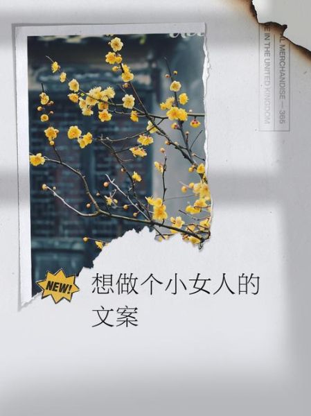 小女人文案生活怎么写_小女人文案生活有哪些风格