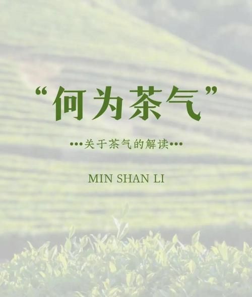 生活有茶气是什么意思_如何打造茶系氛围