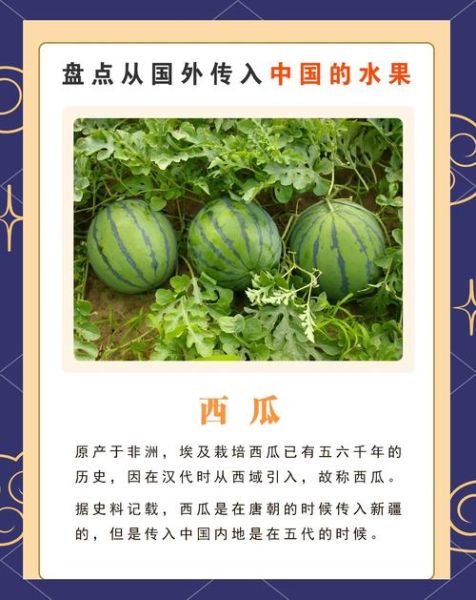 水果历史故事大全_水果起源传说