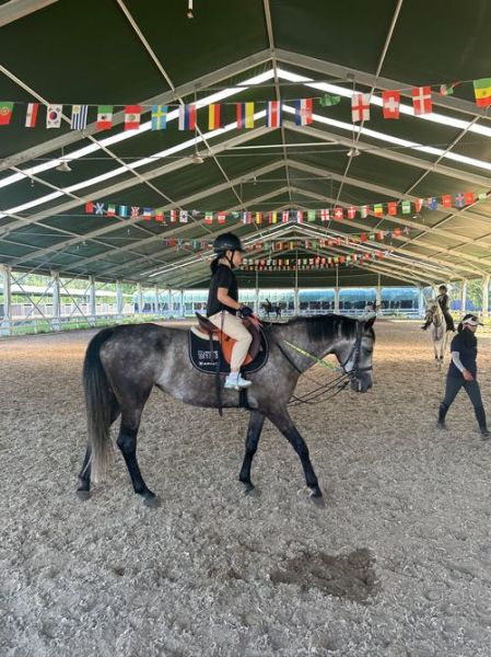 骑马初学者如何选马_马术训练多久见效