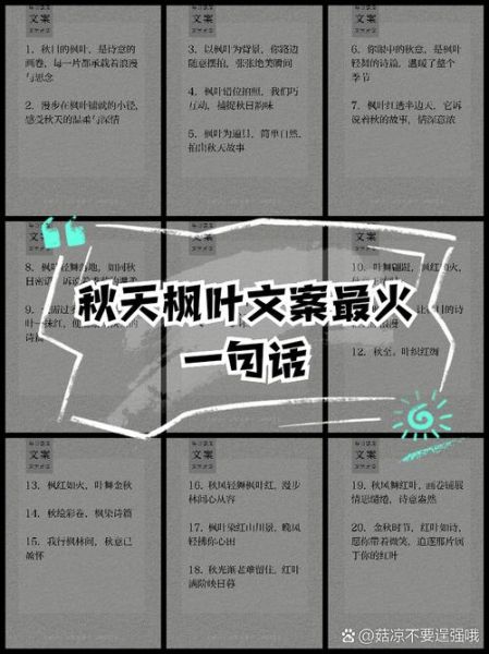 枫叶艺术感文案怎么写_枫叶文案如何提升艺术气息