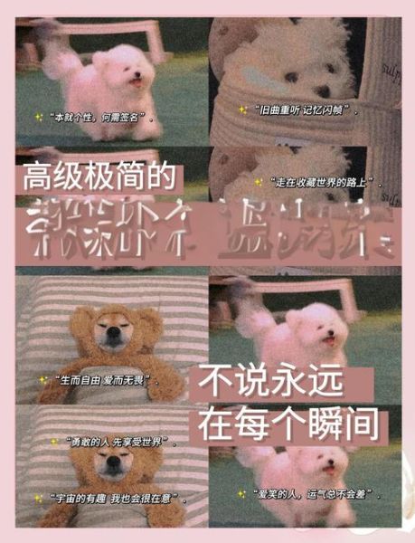 什么是简约文案艺术_如何写出极简风格文案