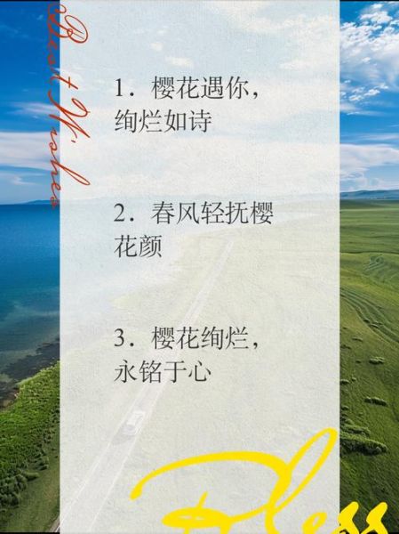 樱花艺术文案怎么写_樱花文案灵感哪里找