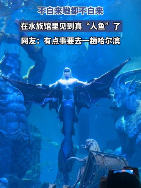 人鱼起源传说_人鱼真实存在吗