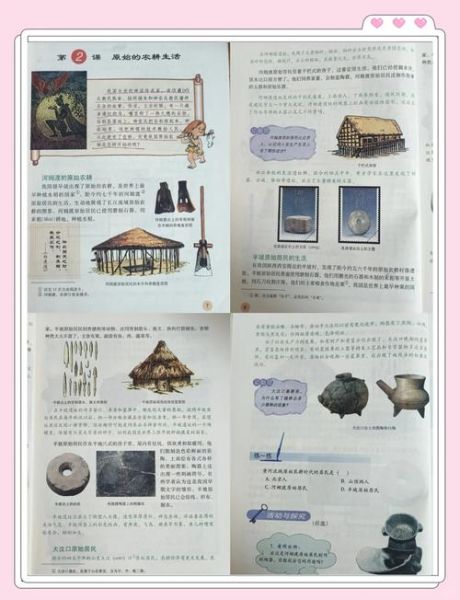 历史教科书封面大全_如何辨别版本差异