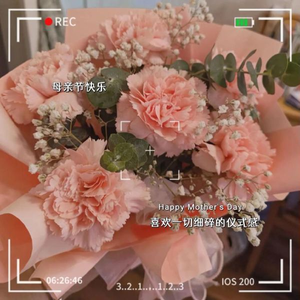 搞笑母亲艺术文案怎么写_母亲节沙雕文案哪里找