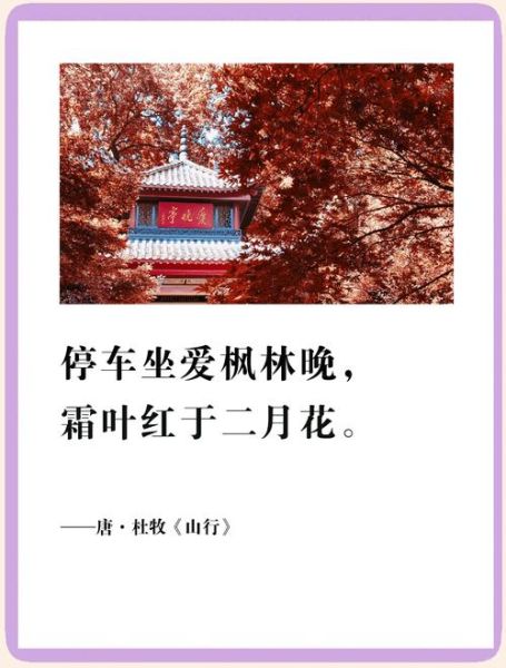 秋天去哪里看红叶_秋景艺术文案怎么写