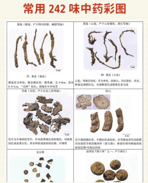 中药历史图片大全_古代药材图谱怎么查