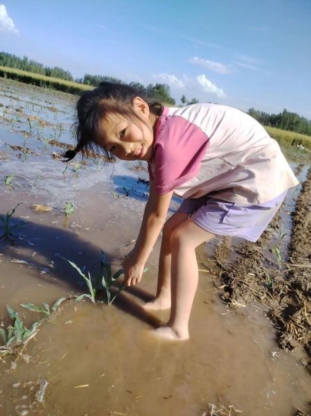 农村生活怎么过_农村生活有哪些乐趣