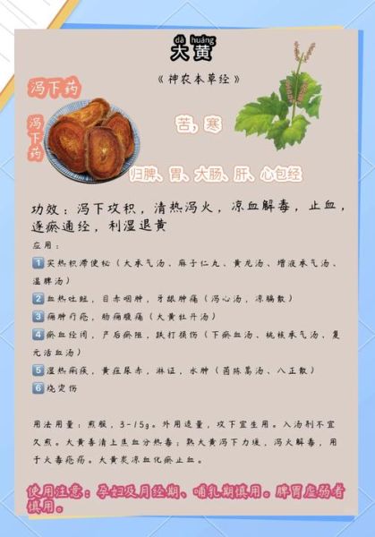 古代药物发现故事有哪些_药物历史趣闻大全