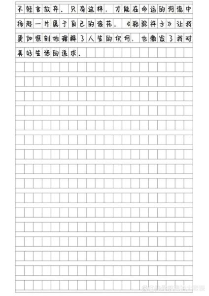 骆驼祥子如果拥有电动车_祥子会选什么智能装备