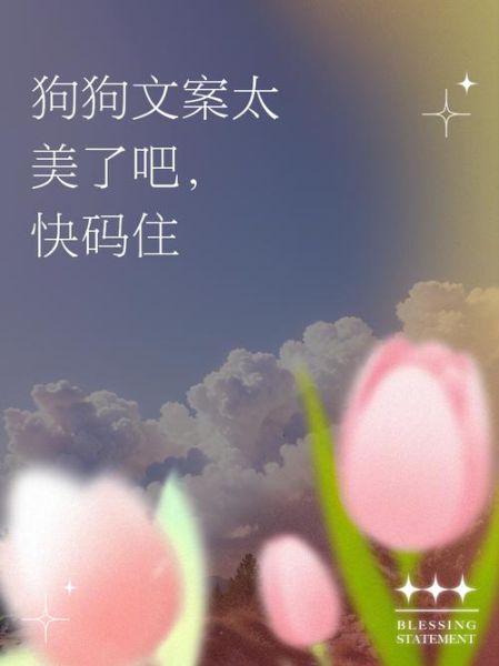 狗的艺术文案怎么写_狗狗治愈文案有哪些