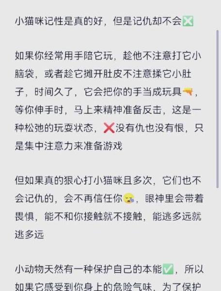 宠物黑历史大全_为什么猫咪会记仇