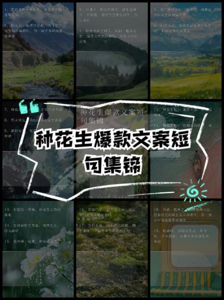 花生活文案怎么写_花生活文案有哪些技巧