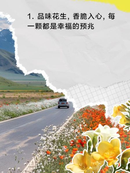 花生活文案怎么写_花生活文案有哪些技巧