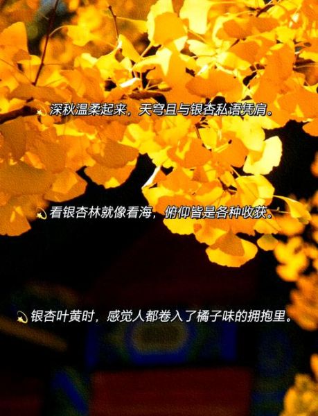 银杏艺术文案怎么写_银杏艺术文案有哪些技巧