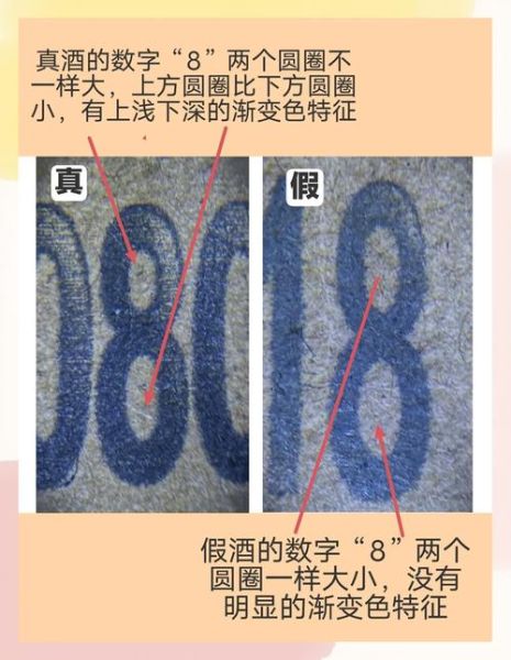 历史真实视频大全哪里看_如何辨别真假史料