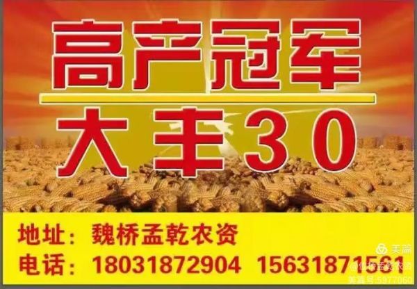 河南袁氏农业科技产品怎么样_袁氏农业玉米种子价格表