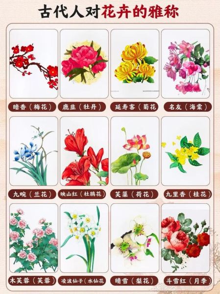 古代花名大全_古人如何取花名