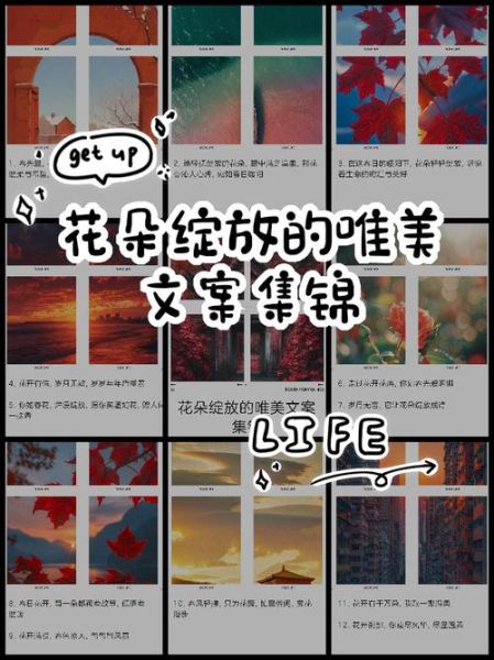 绽放艺术光彩_如何写出打动人心的文案