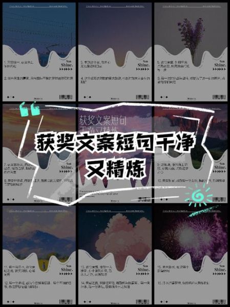 艺术获奖文案怎么写_获奖作品介绍文案范例