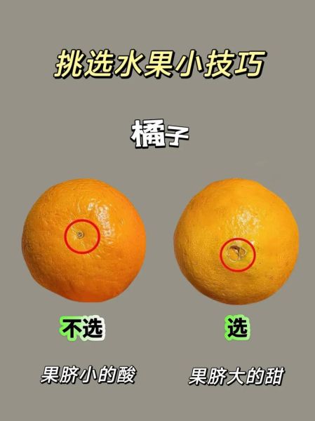 买水果怎么挑新鲜_水果保存方法有哪些