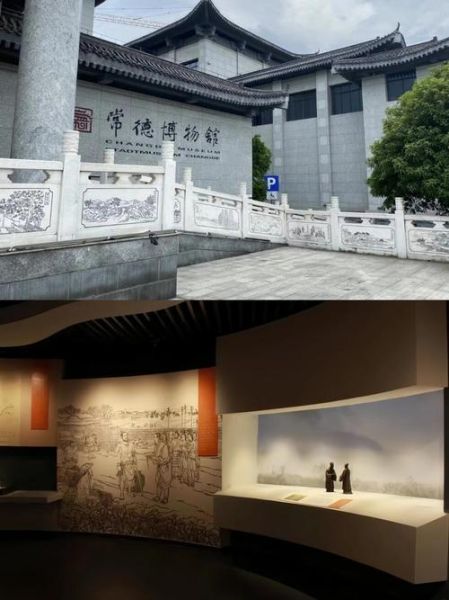 常德历史视频大全_哪里能看完整版