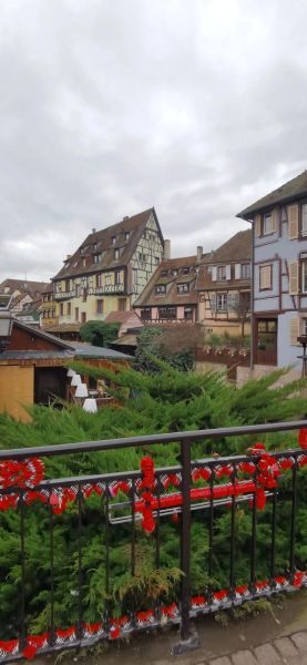 小镇生活怎么样_小镇生活成本高吗