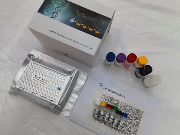 生物科技产品图怎么看_如何快速识别功能亮点