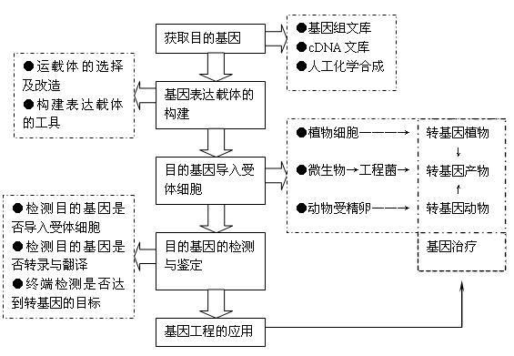 生物科技产品图怎么看_如何快速识别功能亮点