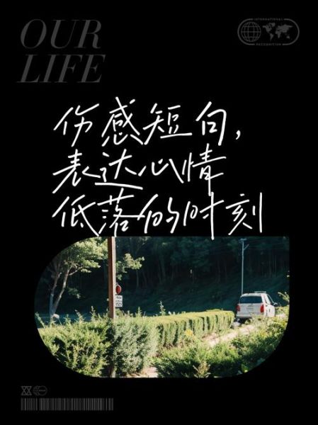 为什么清晨总是伤感_如何走出清晨的低落