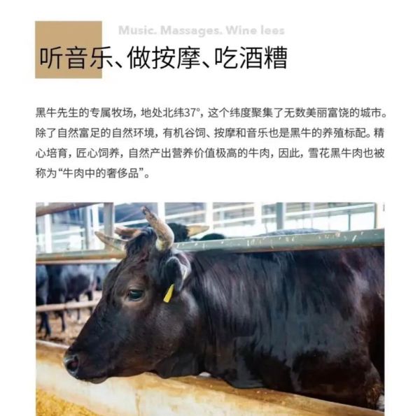 牛牛的高科技产品有哪些_牛牛最新黑科技功能介绍