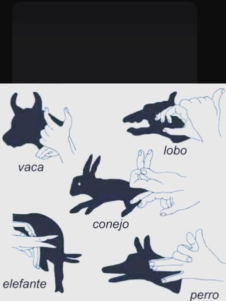 艺术的影子是什么_如何欣赏艺术的影子