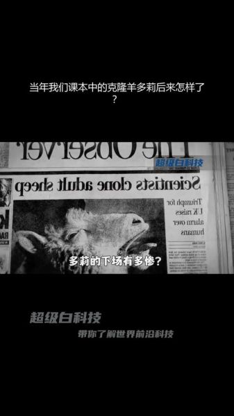 克隆艺术文案怎么写_克隆艺术文案案例