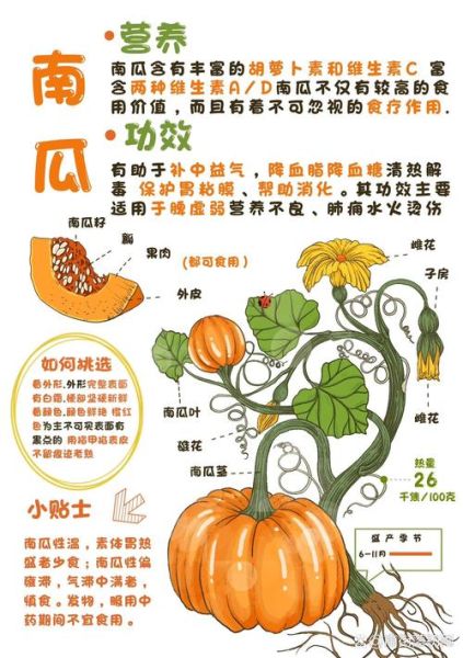 南瓜艺术文案怎么写_南瓜主题文案灵感
