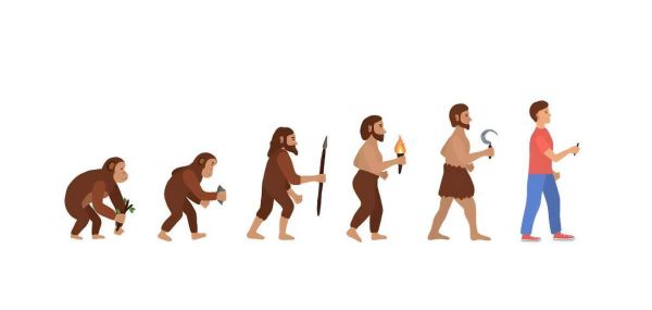 人类进化历史大全_从猿到人经历了哪些阶段