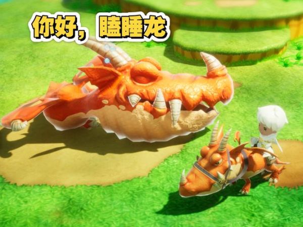 龙王一天怎么过_龙王真的需要睡觉吗