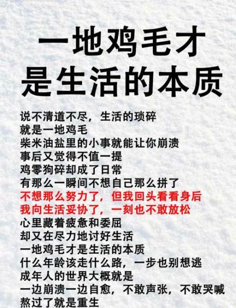 一地鸡毛生活文案怎么写_如何拍成爆款视频