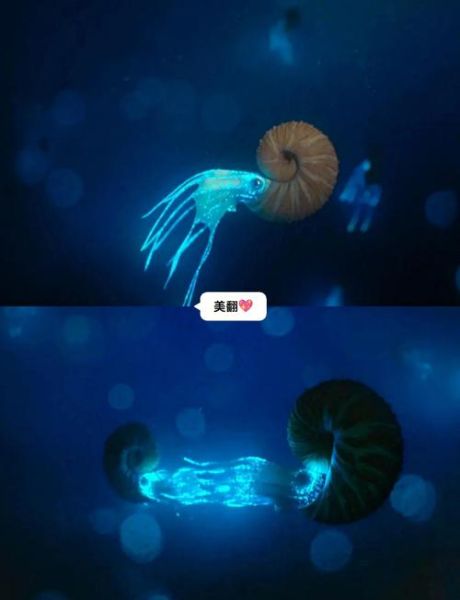 恐龙视频大全_恐龙纪录片哪里看