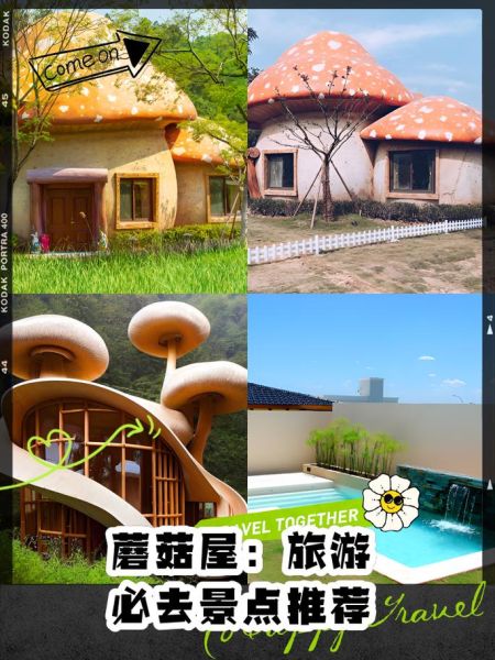 艺术蘑菇屋怎么设计_艺术蘑菇屋装修预算