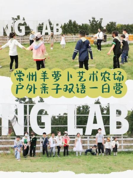 艺术农场是什么_艺术农场怎么玩