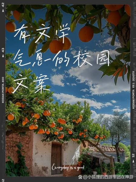 校园生活怎么过才充实_校园生活配图文案怎么写