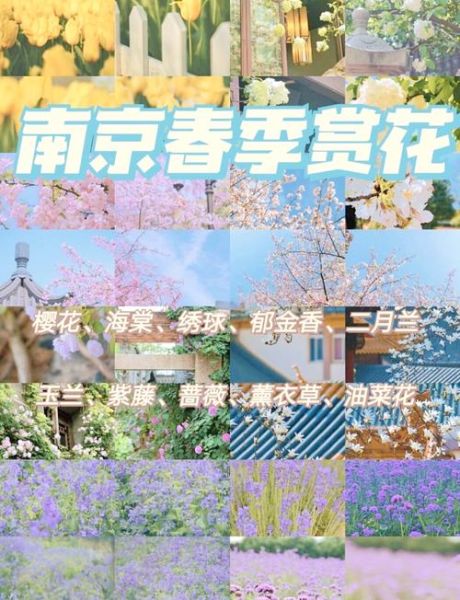 春天去哪里赏花_春季赏花最佳时间