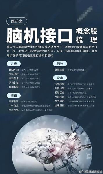 量子脑机接口_如何工作