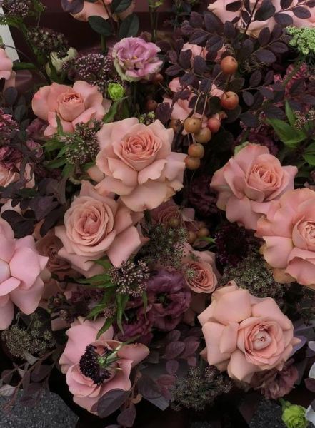 艺术玫瑰怎么养_艺术玫瑰和普通玫瑰区别