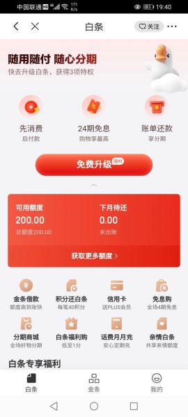 京东白条怎么开通_京东白条额度一般多少