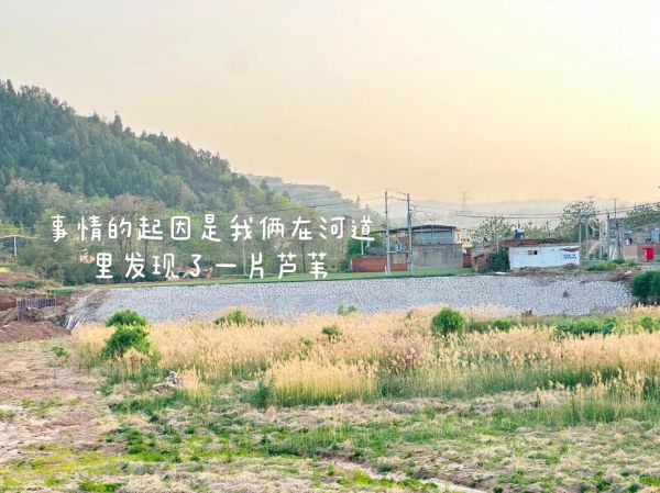 乡村生活如何治愈焦虑_治愈系乡村日常怎么过