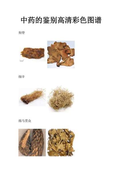 古代药材名称有哪些_如何辨别真伪