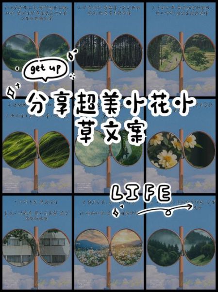 分享艺术怎么写文案_分享艺术文案有哪些技巧