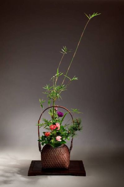 艺术花卉怎么搭配_艺术花卉适合放哪里